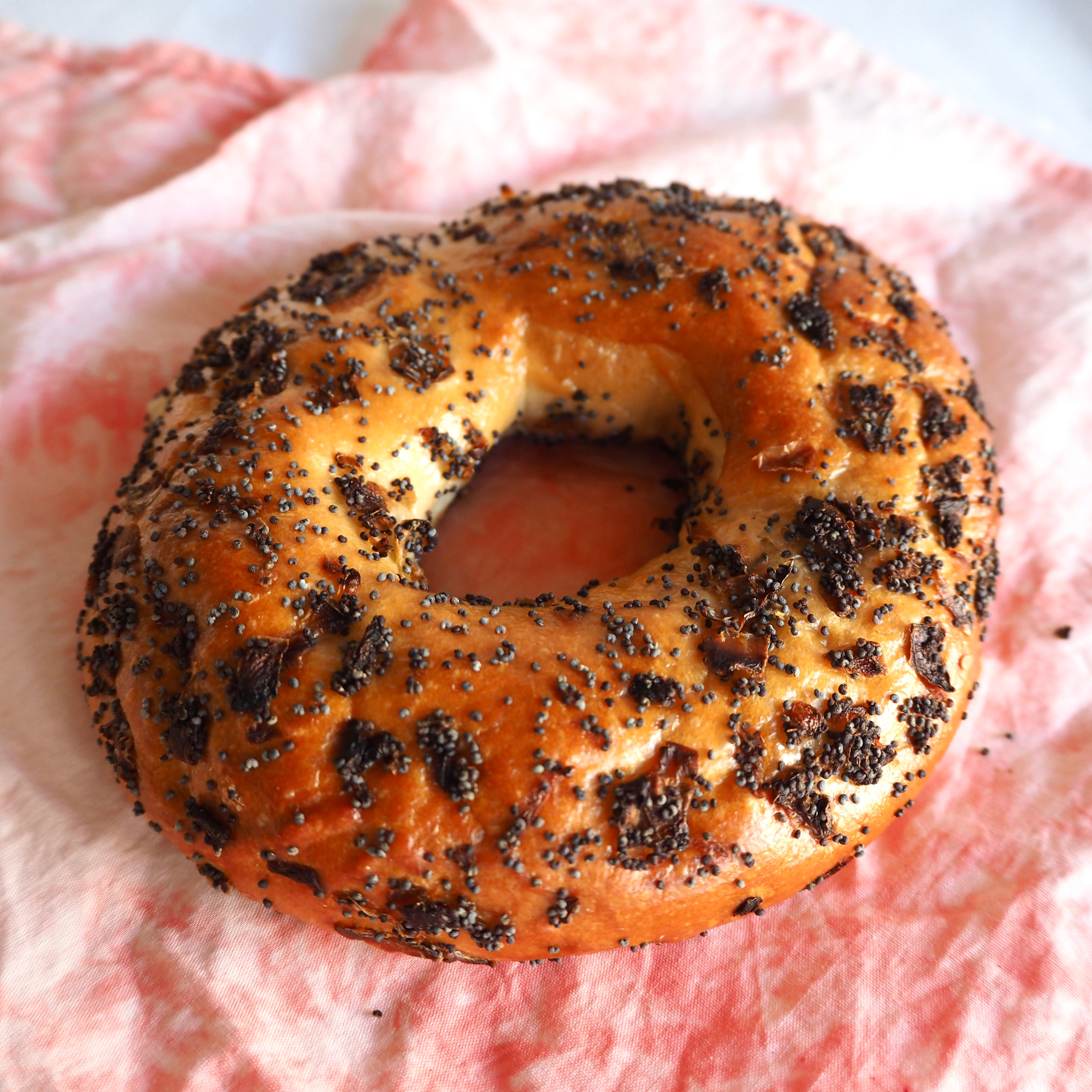 Glick's Onion Bagel