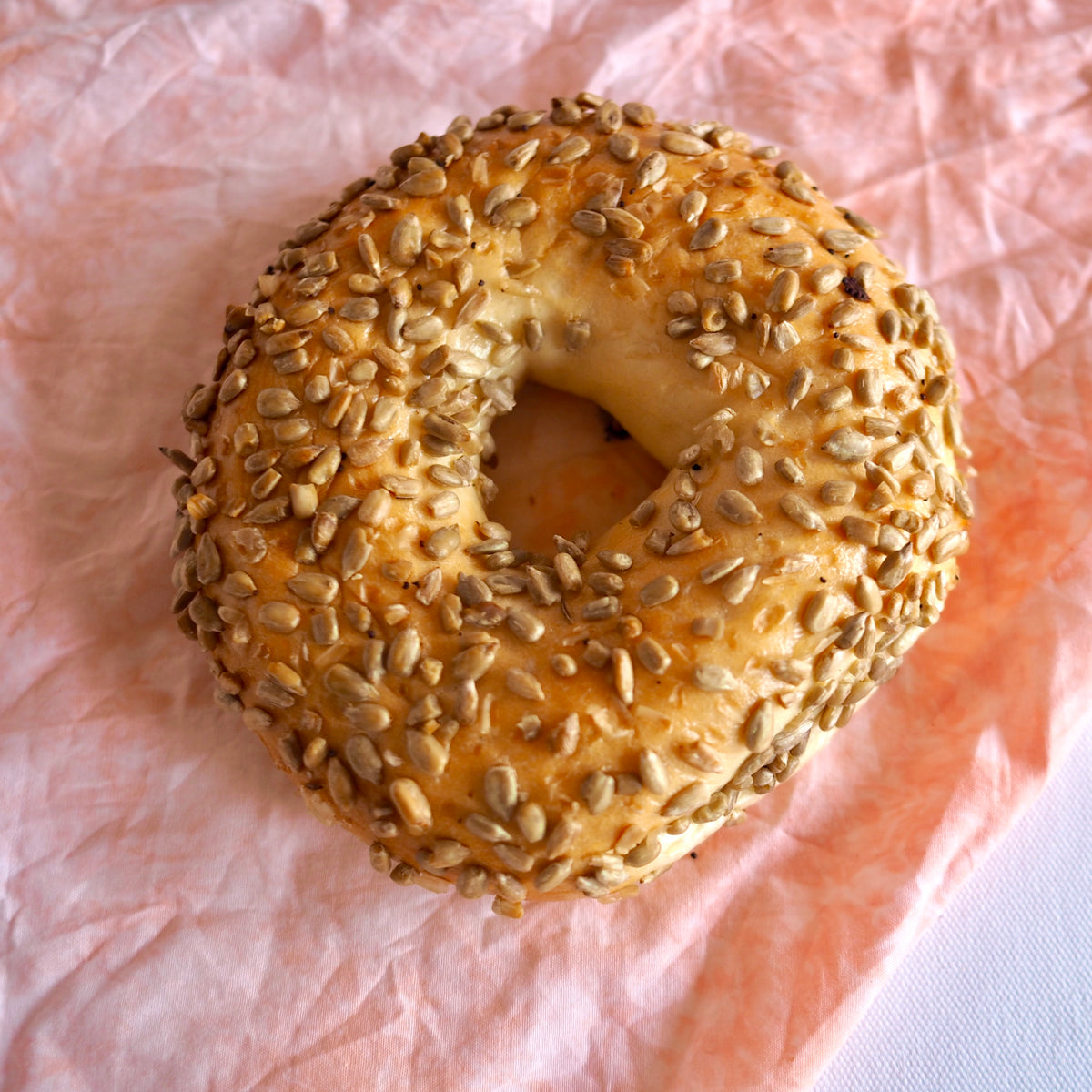 Glick's Sunflower Seed Bagel Northside Challah