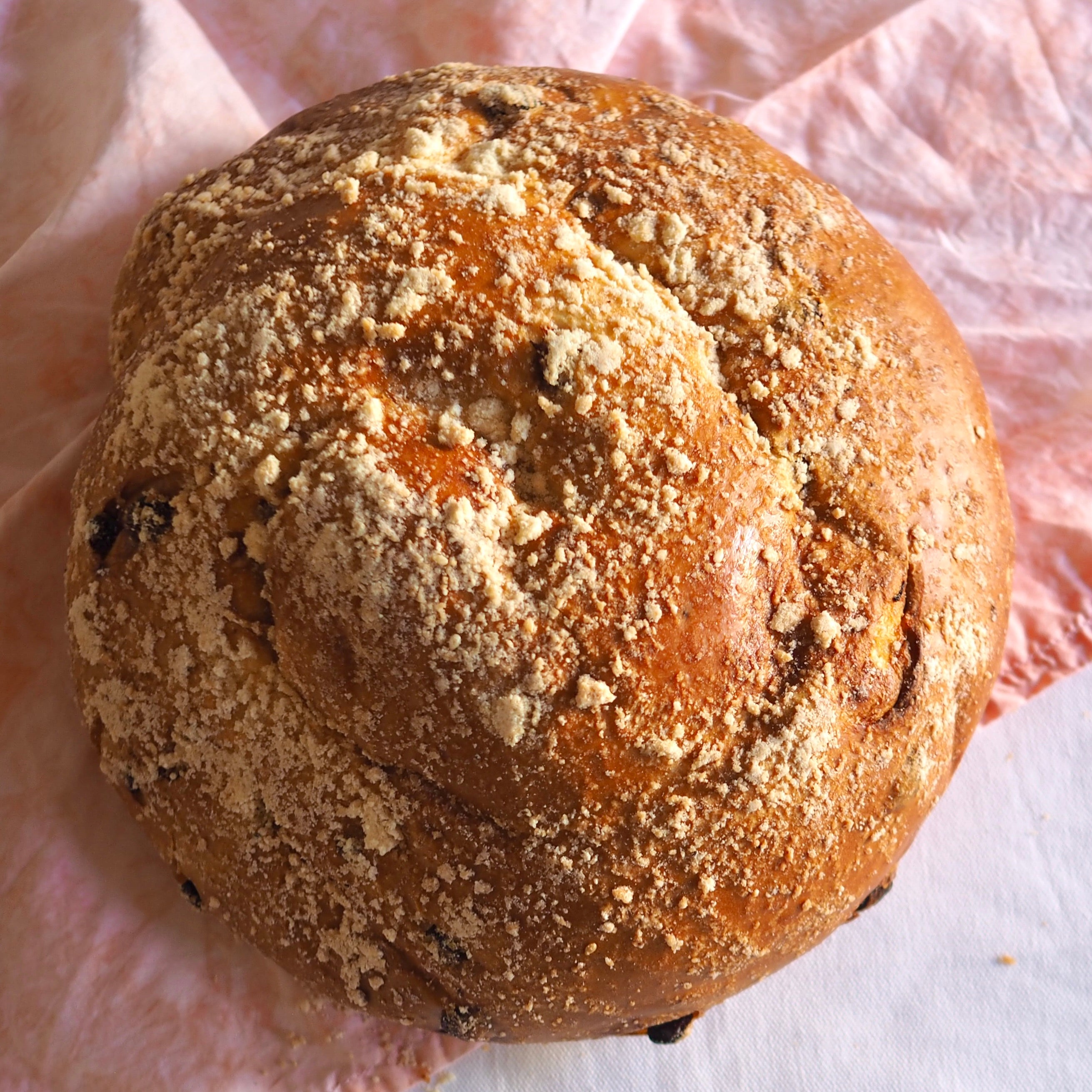 Glick's Sweet Sultana Round Challah